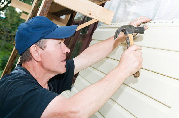Best Brick Veneer Siding  in Maple Grove, MN